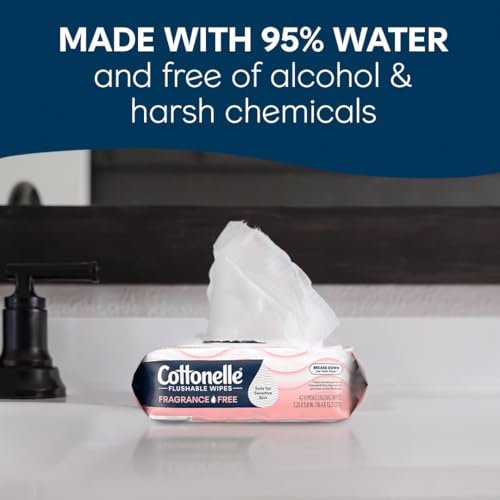 Flushable Wet Wipes Fresh Feel 336 Count Adult Hygiene