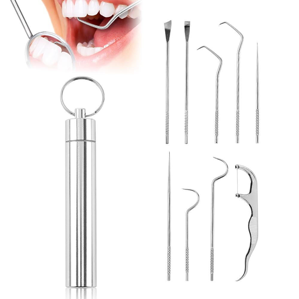 Reusable Stainless Steel Toothpick Set with Holder Portable Dental Kit
