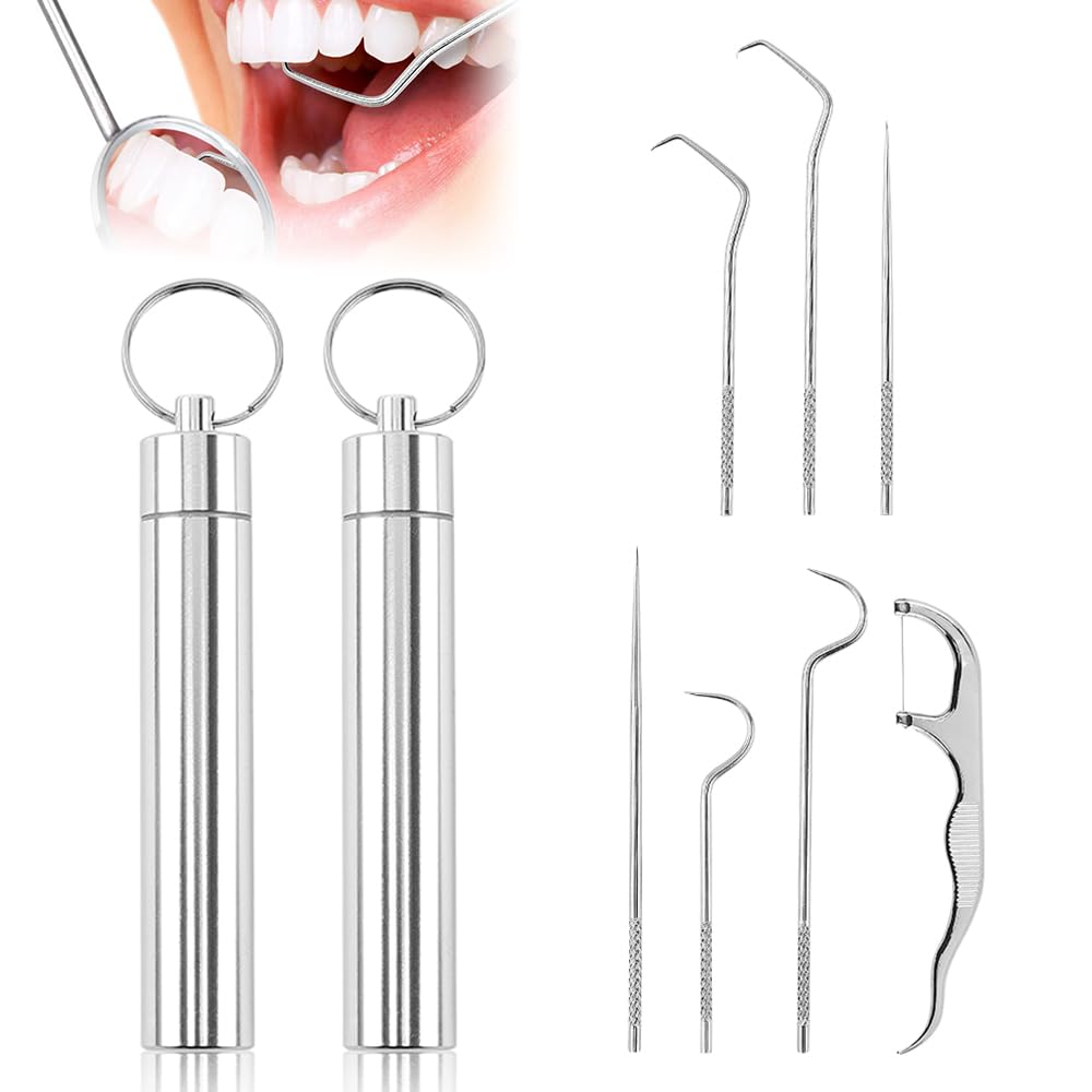 Reusable Stainless Steel Toothpick Set with Holder Portable Dental Kit