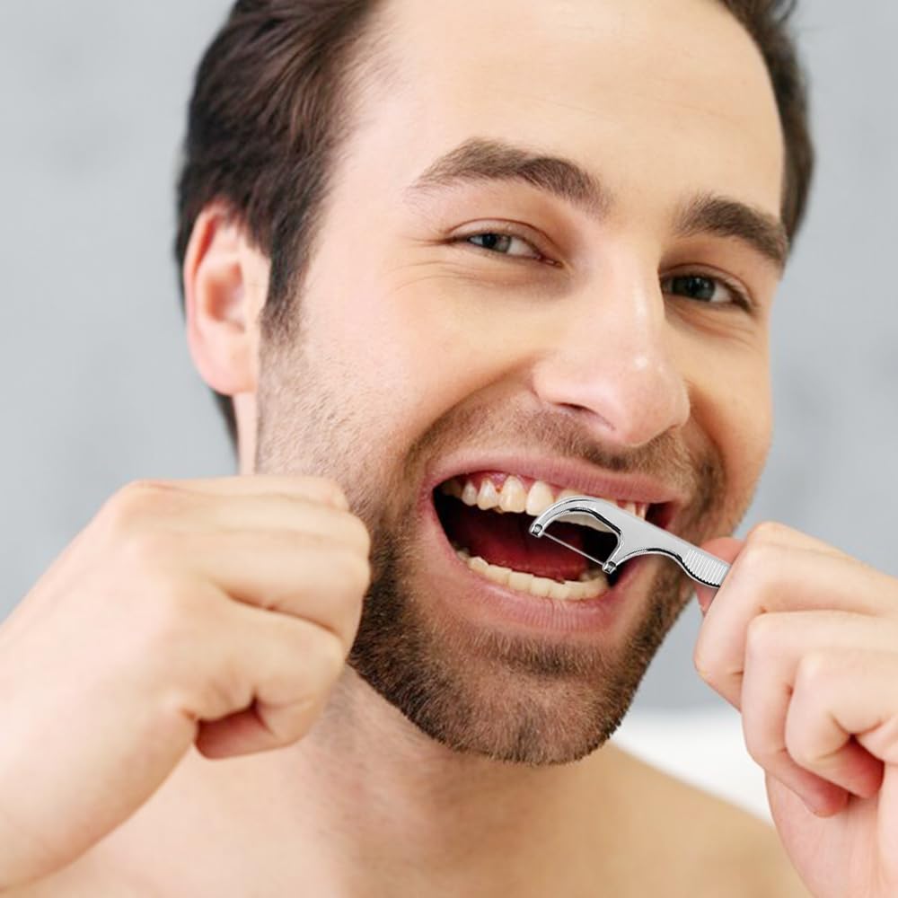 Reusable Stainless Steel Toothpick Set with Holder Portable Dental Kit