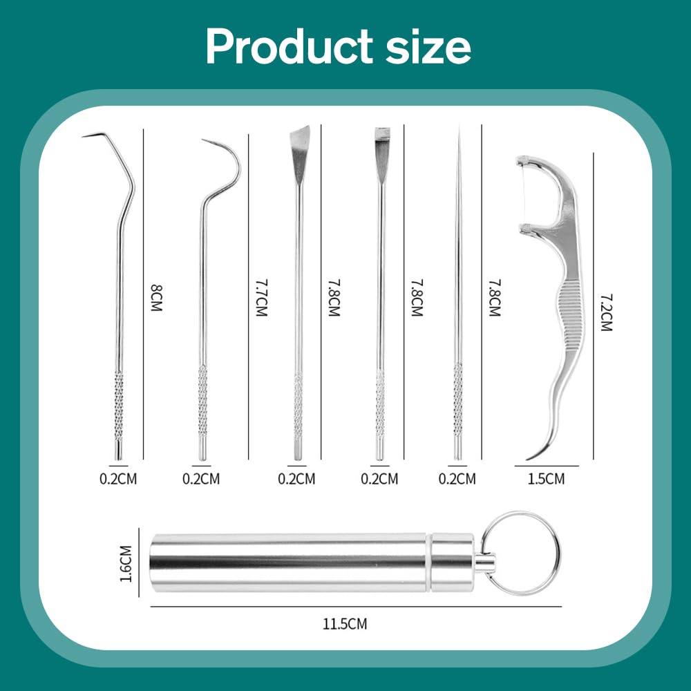 Reusable Stainless Steel Toothpick Set with Holder Portable Dental Kit