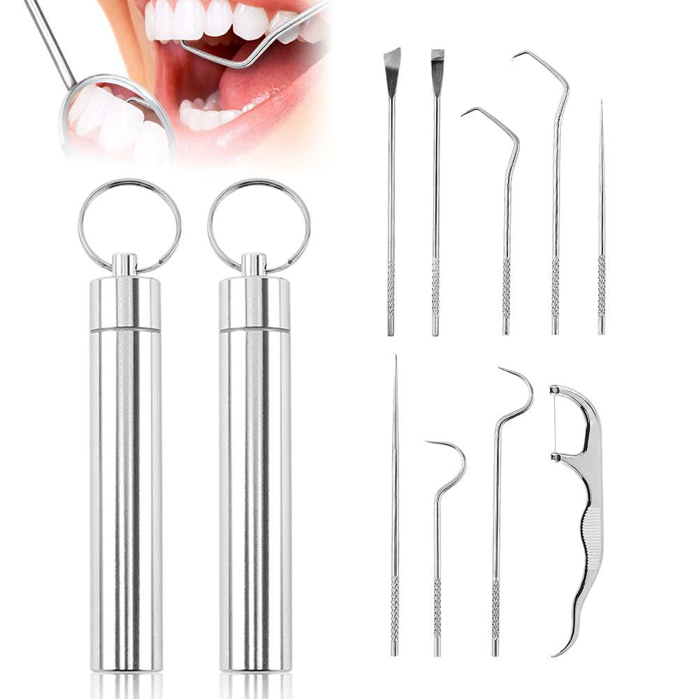 Reusable Stainless Steel Toothpick Set with Holder Portable Dental Kit