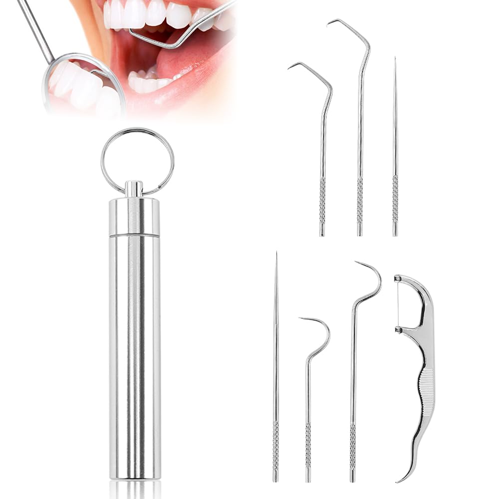 Reusable Stainless Steel Toothpick Set with Holder Portable Dental Kit