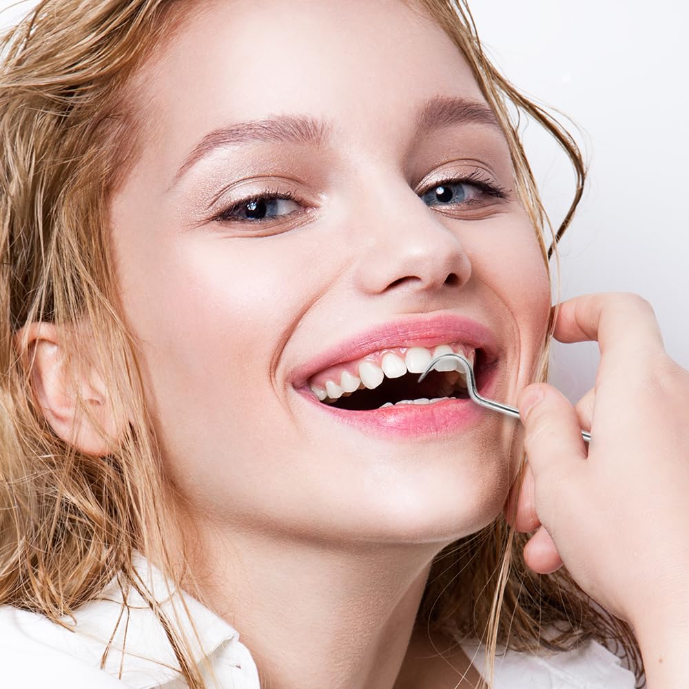 Reusable Stainless Steel Toothpick Set with Holder Portable Dental Kit