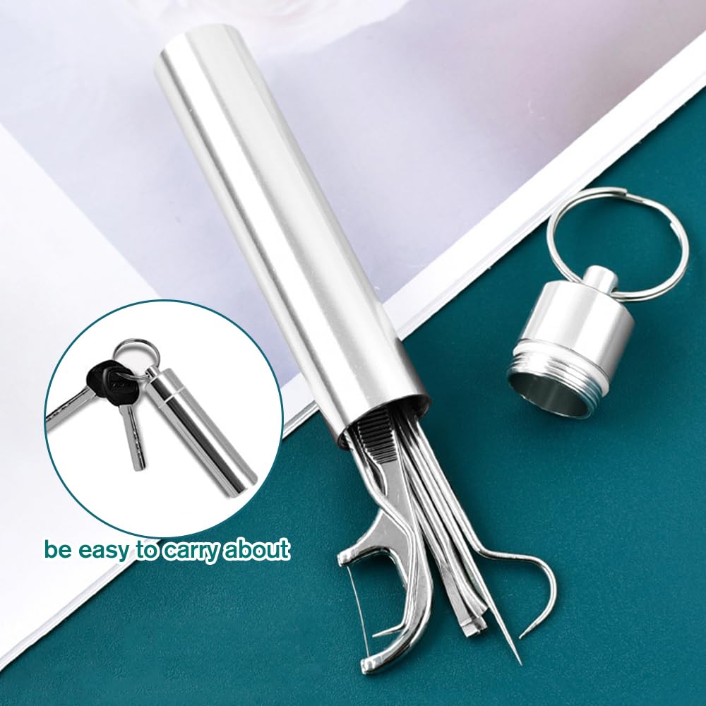 Reusable Stainless Steel Toothpick Set with Holder Portable Dental Kit