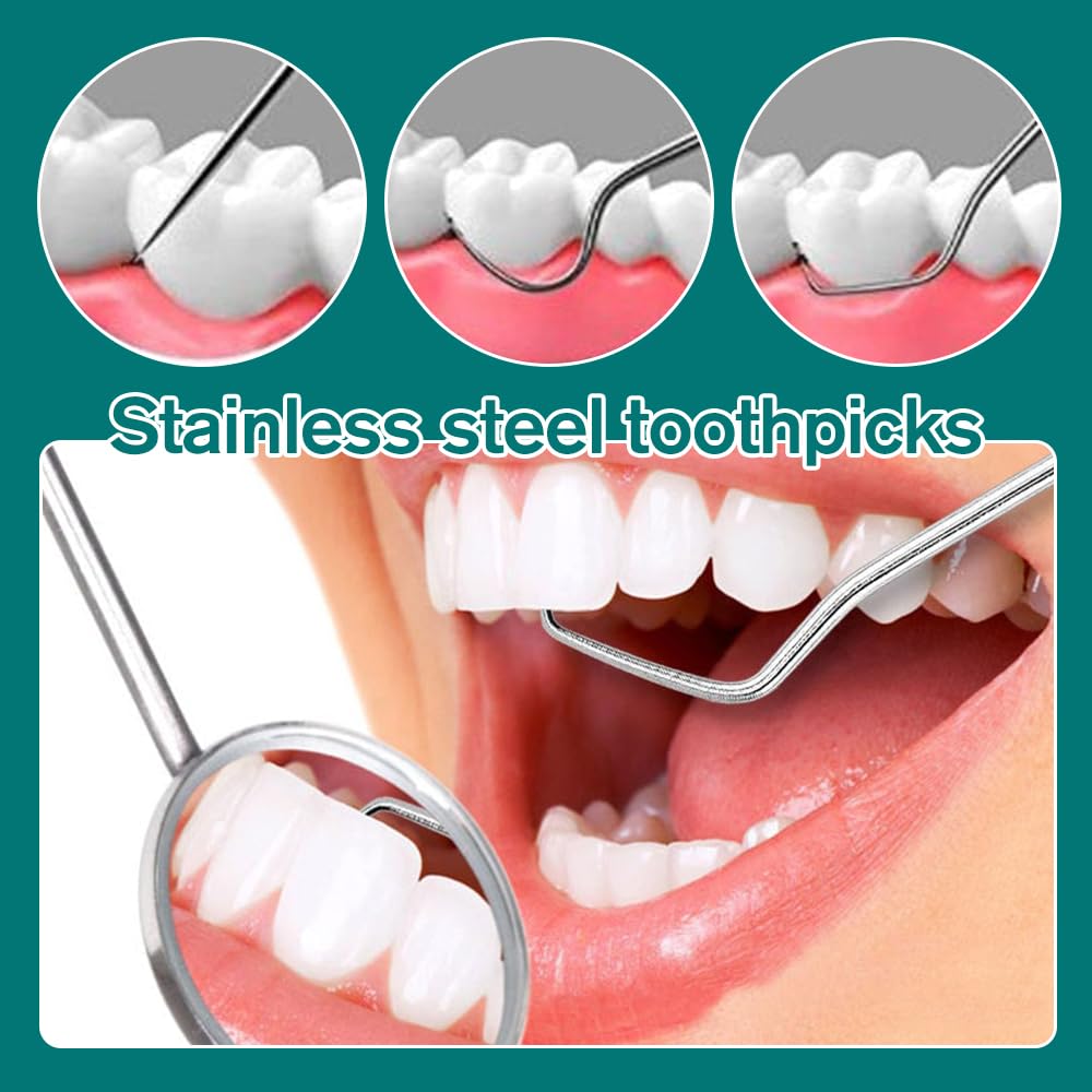 Reusable Stainless Steel Toothpick Set with Holder Portable Dental Kit