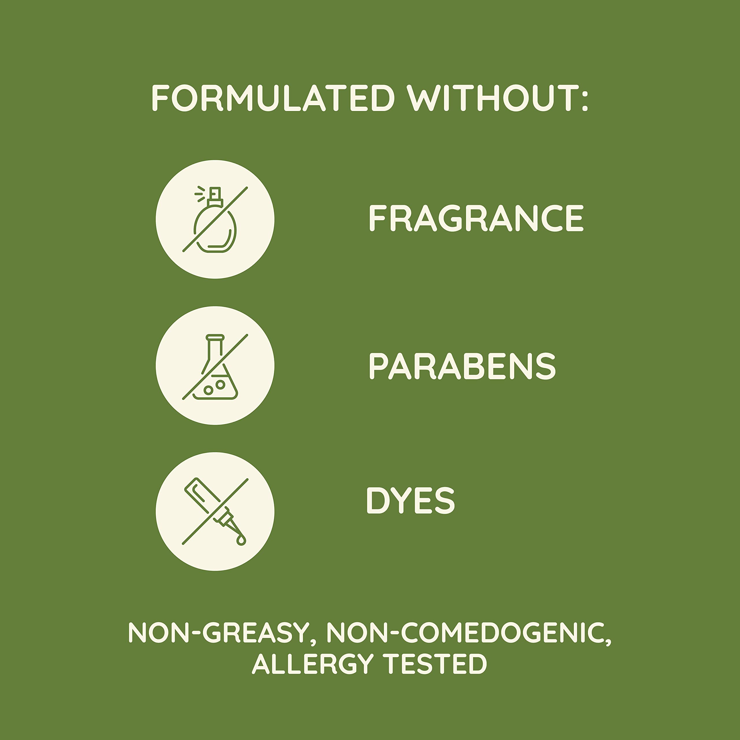 Daily Moisturizing Body Lotion with Prebiotic Oat 18oz